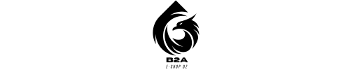 B2A 